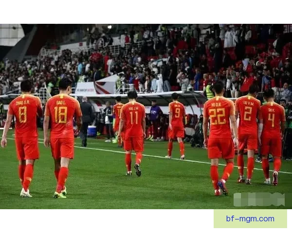 这都怪本泽马卡里乌斯沙尔克月薪仅2万5妻子年薪百万欧元引热议